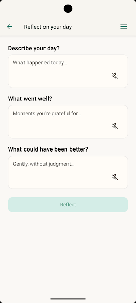 Naruska Reflect – daily reflection input screen